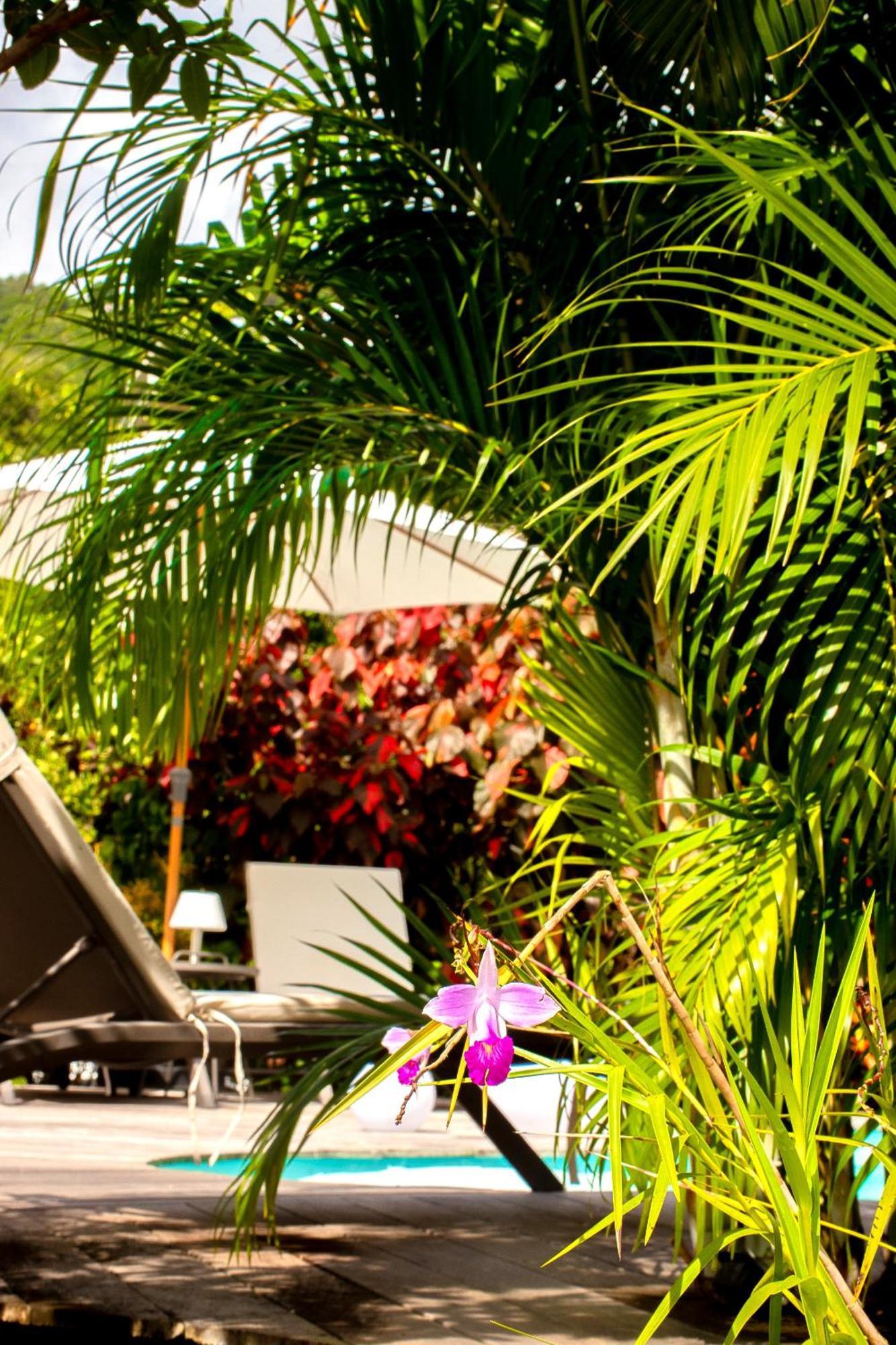 La Villa Baie Du Marin Le Marin Bagian luar foto